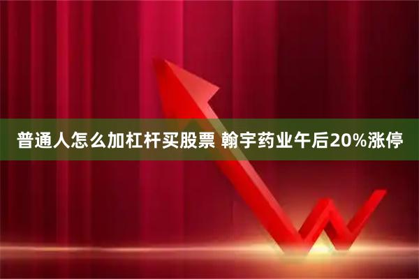 普通人怎么加杠杆买股票 翰宇药业午后20%涨停