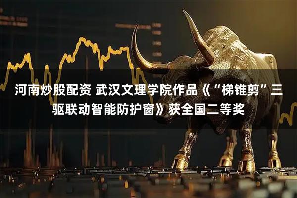 河南炒股配资 武汉文理学院作品《“梯锥剪”三驱联动智能防护窗》获全国二等奖