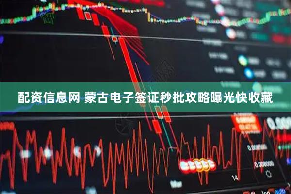 配资信息网 蒙古电子签证秒批攻略曝光快收藏