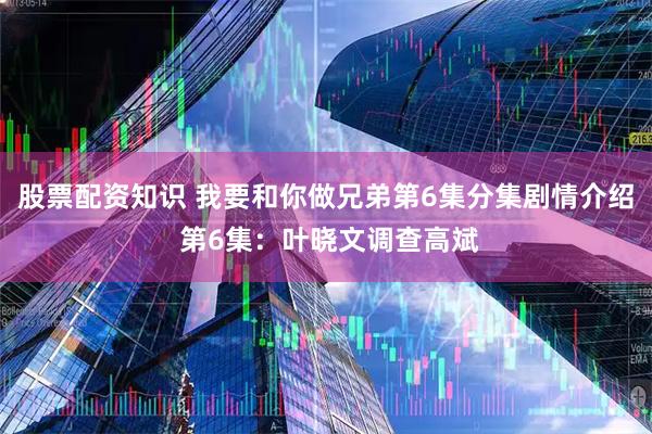 股票配资知识 我要和你做兄弟第6集分集剧情介绍 第6集：叶晓文调查高斌